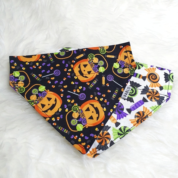 🐶3 for $15 * Pablo Halloween Reversible Pumpkin Bucket & Candy Dog Bandana